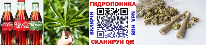магазин продажи   гидра как зайти  Печенье с ТГК конопля  Киреевск 