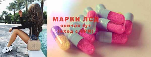 стаф Сясьстрой