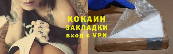 СК Бронницы