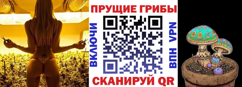 даркнет сайт  Киреевск  Псилоцибиновые грибы Cubensis 